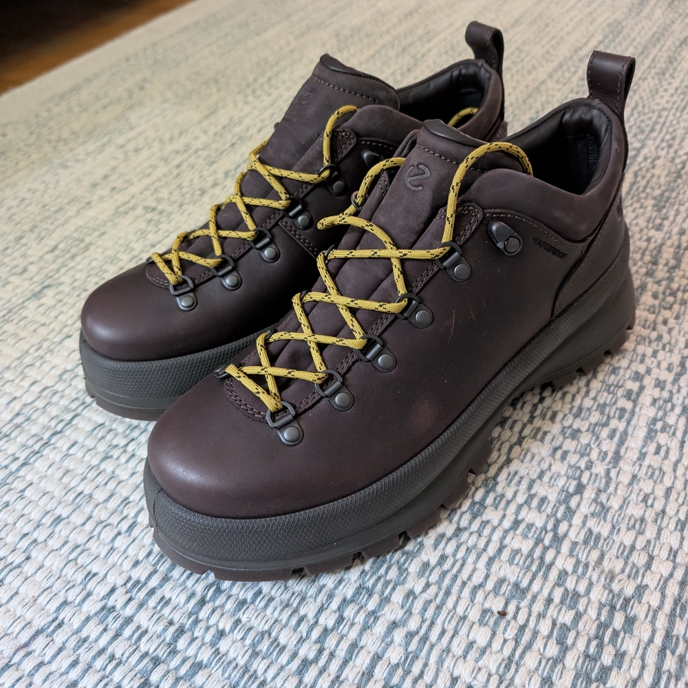 Men's Brown Hiking Shoes